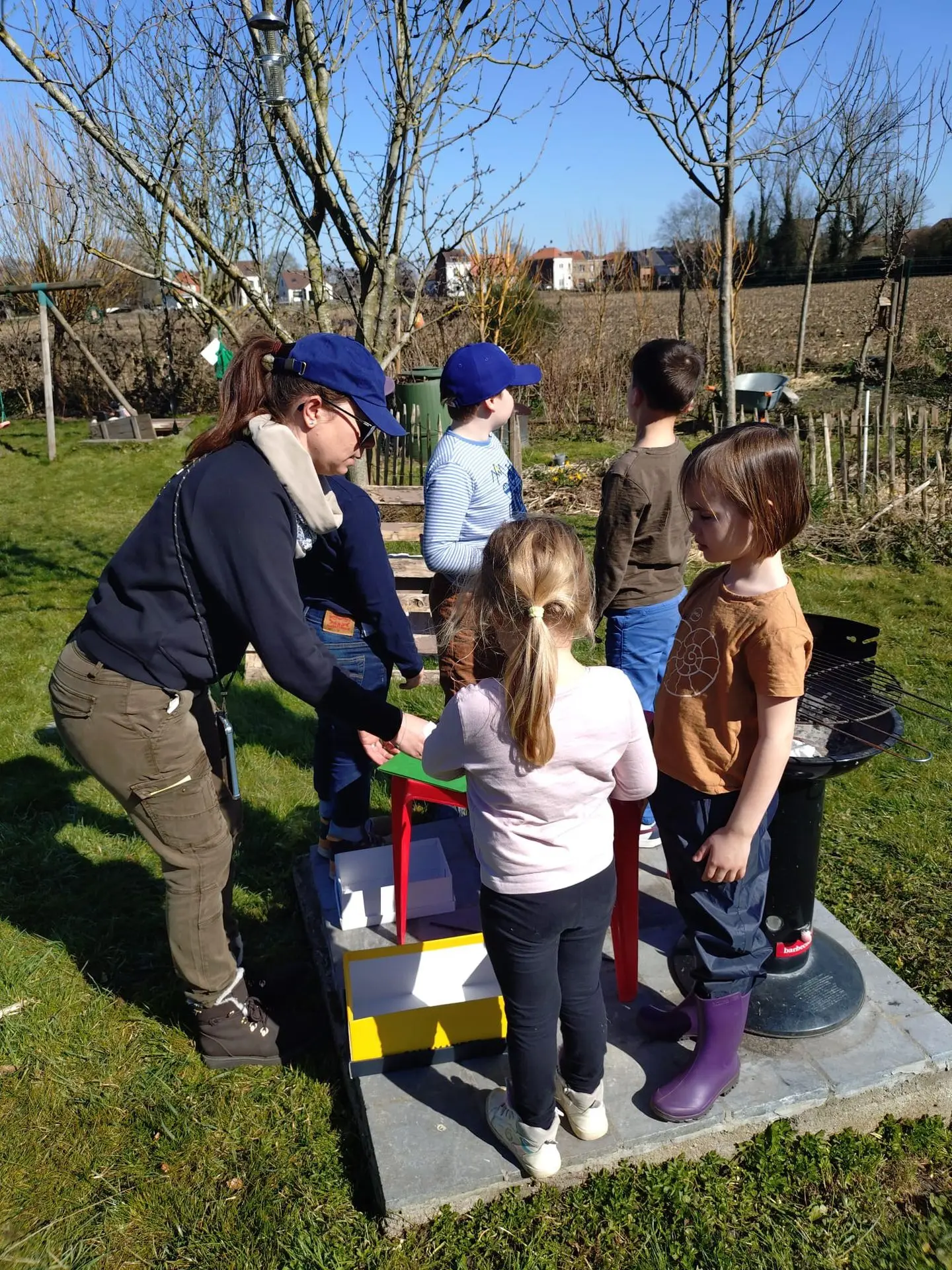 animation mammifères